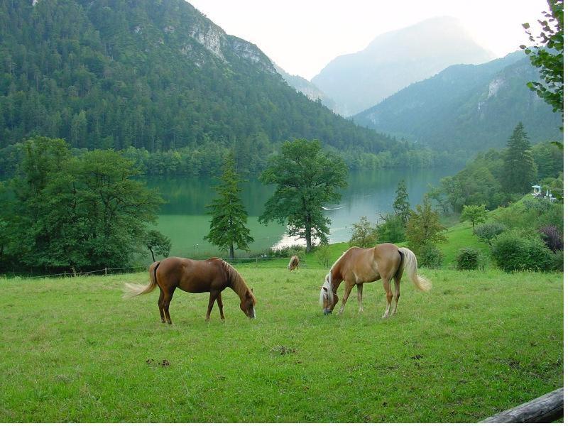 Hotel- Pension Oechsner Bad Reichenhall Exteriér fotografie