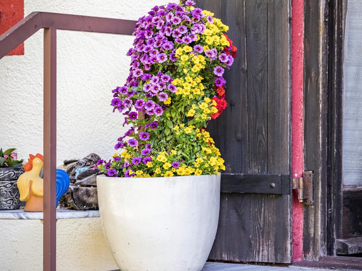 Hotel- Pension Oechsner Bad Reichenhall Exteriér fotografie
